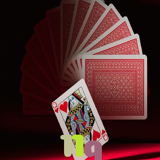11q: Aposta Facilmente com Funcionalidades Completas no Aplicativo Móvel